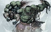 hulk comic character wolverine 1554x1083 wallpaper 
